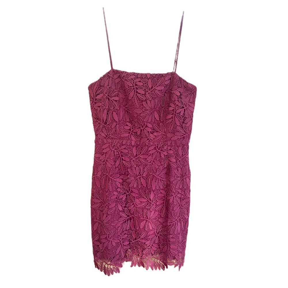 NSR Lace Sheath Dress